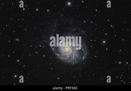 Astrofotografie, Spiralgalaxie Messier 101 oder Pinwheel Galaxy Stockfoto