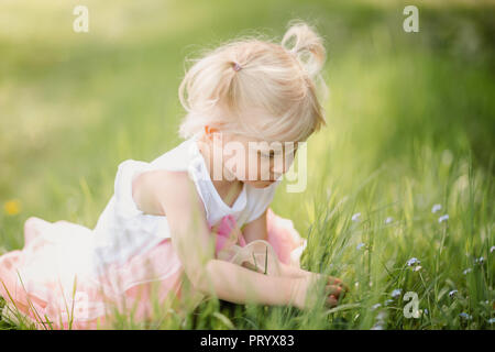Blonde Mädchen Blumen pflücken auf einer Wiese Stockfoto
