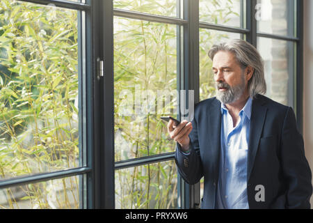Senior Geschäftsmann stand am Fenster, mit Smartphone Stockfoto