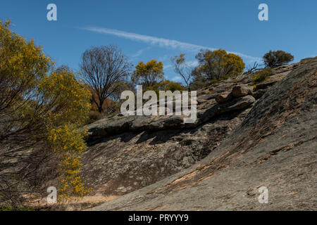 Wave Rock am versteckten Hohle Fels, Mt Walker, WA, Australien Stockfoto