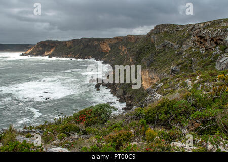 Lachs Strand von Tookulup Lookout, D'ENTRECASTEAUX NP, WA, Australien Stockfoto