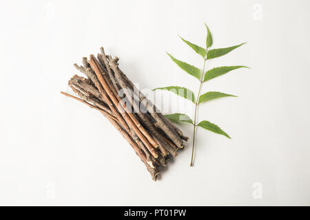 Neem Sticks und Neem Blätter. Weiß isoliert Hintergrund Stockfoto