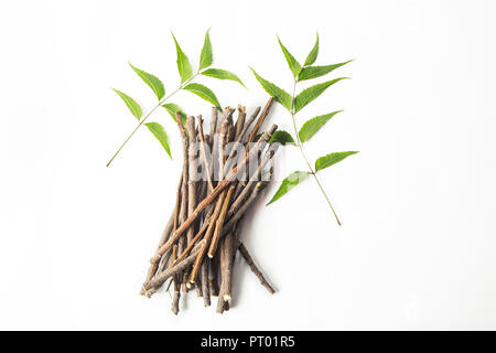 Neem Sticks und Neem Blätter. Weiß isoliert Hintergrund Stockfoto