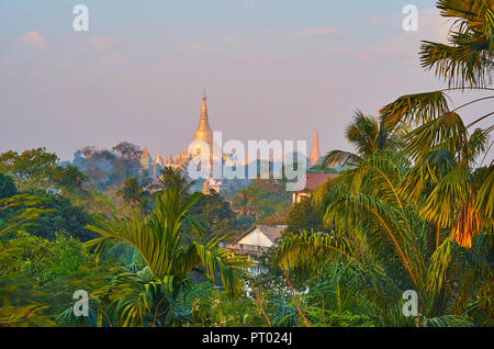 Die goldenen Stupa Shwedagon Zedi Daw-Tempel in hellen Morgen haze hinter das üppige Grün des Gartens, Yangon, Myanmar. Stockfoto