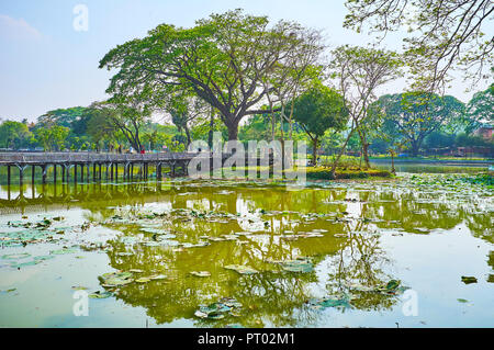 Entspannen Sie sich auf der Bank der Kandawgyi See mit Blick auf die malerischen leucophloea htanaung (Acacia) Baum und alte Holzbrücke, in Wasser, Yangon, Myanmar Stockfoto