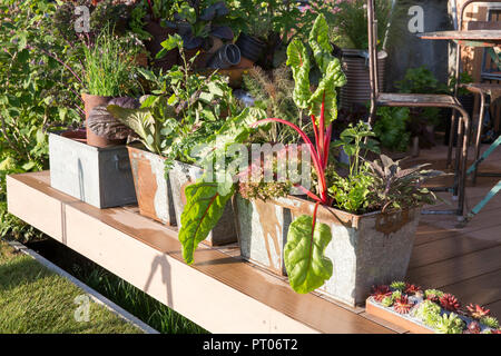 Kleiner Küchengarten mit hölzernem Terrassenbereich mit Gemüse und Kräutern, die in recycelten, verzinkten Metallbehältern wachsen, Salat Mangold UK Stockfoto