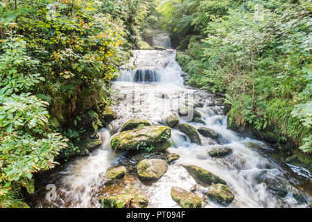 Hoar Oak River Wasserfälle am Zusammenfluss mit dem Osten Lyn River bei Watersmeet Stockfoto