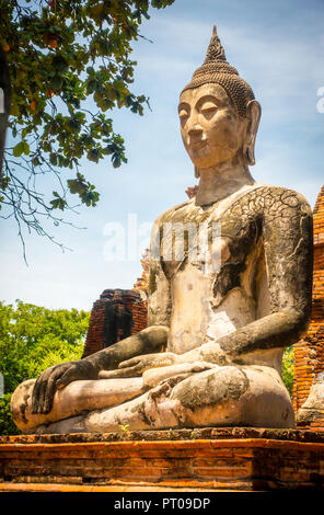 Sitzender Buddha Statue im Wat Phra Mahatat, Ayutthaya, Thailand Stockfoto