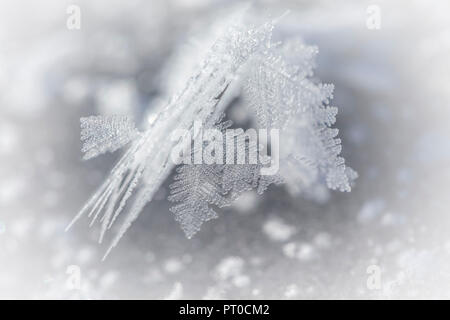 Nahaufnahme eines Ice Crystal im Winter. Stockfoto