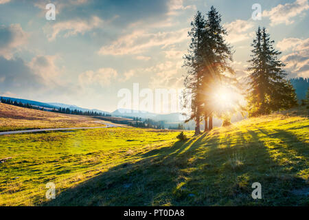 Sunburst durch Bäume. schönen Sonnenuntergang in Apuseni Naturpark. wundervolle Natur des Rumänien Berge Stockfoto