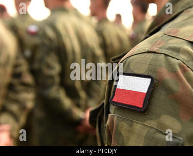 Polnische patch Flagge auf Soldaten arm. Polen Uniform. Polen Truppen Stockfoto