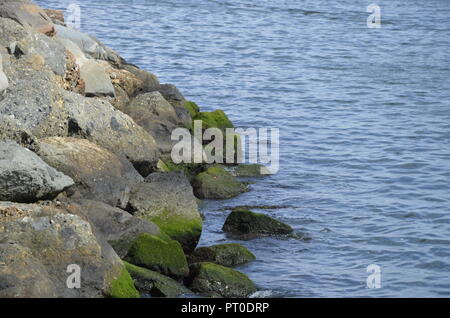 Hollywood, Los Angeles, Kalifornien, USA Stockfoto