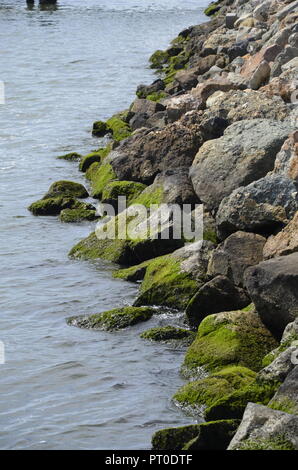 Hollywood, Los Angeles, Kalifornien, USA Stockfoto