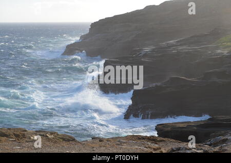 Strände der Insel Oahu Hwaii USA Stockfoto