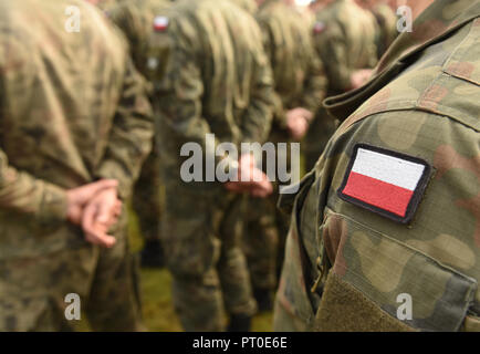 Polnische patch Flagge auf Soldaten arm. Polen Uniform. Polen Truppen Stockfoto