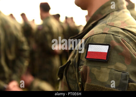 Polnische patch Flagge auf Soldaten arm. Polen Uniform. Polen Truppen Stockfoto