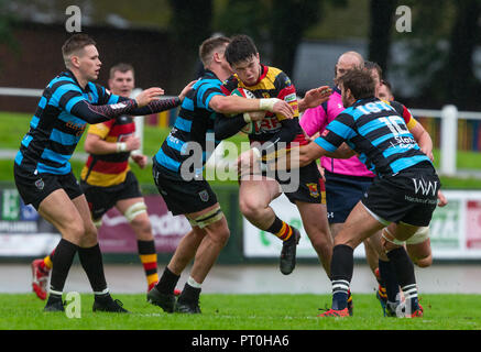 Carmarthen Quins' Center Osian Knott in Aktion während des heutigen übereinstimmen. Einige Bilder aus der Runde 4 des Fürstentums Waliser Premiership Rugby Union übereinstimmen Stockfoto