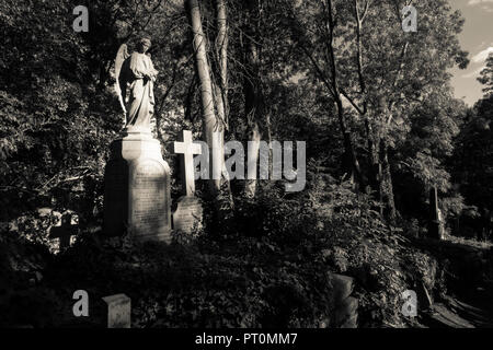 Stein Engel in Highgate Friedhof, London Stockfoto