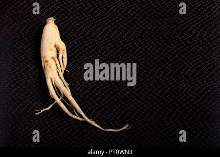 Ginseng auf dem Hintergrund der Schlangenhaut mit Platz für Text Stockfoto