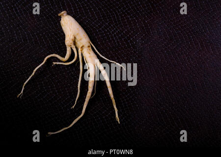 Ginseng auf dem Hintergrund der Schlangenhaut mit Platz für Text Stockfoto