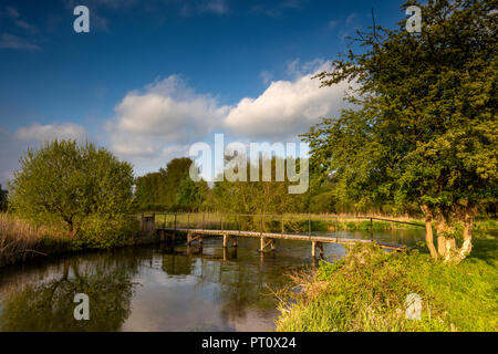 Eine Forelle angeln Ausdehnung der chalkstream Itchen River in der Nähe von Twyford, Hampshire Stockfoto