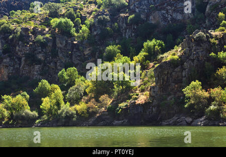 Arribes do Douro, Landschaft in der Nähe von miranda do Douro Stockfoto