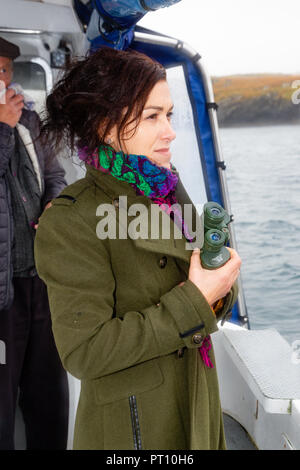 Touristen auf Cruiser Boat aus Valentia Island, County Kerry, Irland Stockfoto