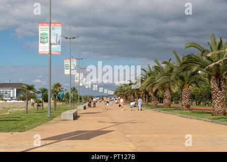 Palmen säumen die Boulevard in Batumi, Adscharien, Georgien Stockfoto
