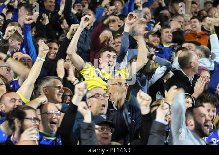 4. Oktober, Total Gottlosen Stadium, St Helens, England; Betfred Super League Super 8 s Semi-finale, St Helens v Warrington Wölfe; Gesichter in der Masse der Credit: Richard Long/News Bilder Stockfoto