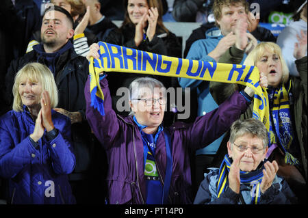 4. Oktober, Total Gottlosen Stadium, St Helens, England; Betfred Super League Super 8 s Semi-finale, St Helens v Warrington Wölfe; Gesichter in der Masse der Credit: Richard Long/News Bilder Stockfoto