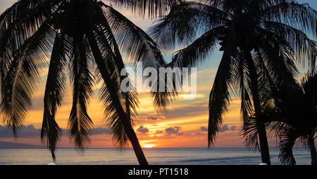 Palmen in Silhouette mit orange Sonnenuntergang über dem Meer im Hintergrund mit Sonne unter Horizont sinken Stockfoto