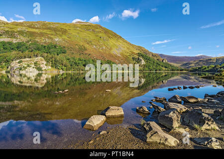 Reflexionen in Llyn Gwynant im glaslyn Tal nach Norden Osten Snowdonia National Park North Wales UK September 0781 Stockfoto