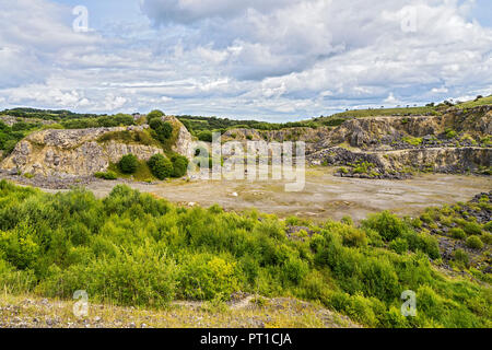 Minera Limeworks Kalksteinbruch jetzt ein North Wales Wildlife Trust finden in der Nähe von Minera West Wrexham North Wales UK August Stockfoto