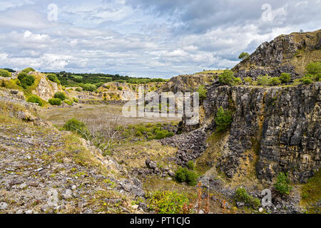 Minera Limeworks Kalksteinbruch jetzt ein North Wales Wildlife Trust finden in der Nähe von Minera West Wrexham North Wales UK August 0131 Stockfoto