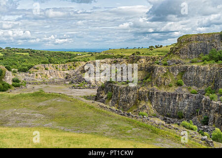 Minera Limeworks Kalksteinbruch jetzt ein North Wales Wildlife Trust finden in der Nähe von Minera West Wrexham North Wales UK August 0264 Stockfoto