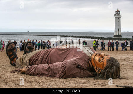 Der riesige Mann legt am Strand von New Brighton, Wirral, der hipwrecked bevor er aufgewacht ist und geht Spazieren", als Teil der Royal De Luxe riesigen spektakulären über das Wochenende. Stockfoto