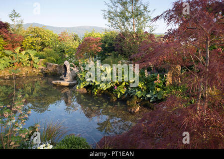 Das große Teichwasser zeigt Steinbrocken im japanischen Zen-Garten Gunnera manicata, Rodgersia aesculifolia, Arum Lillies und Acer palmatum Trees UK Stockfoto