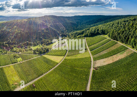 Deutschland, Baden-Württemberg, Remstal, Weinberge bei Gundelsbach Tal Stockfoto