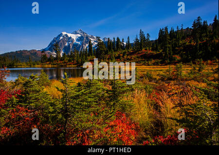 Bild See mit Herbstfarben und Mount Shuksan im Hintergrund, im Bergsee Staat Washington USA wider Stockfoto