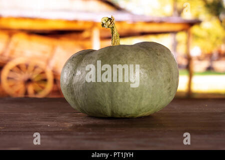 Eine ganze Frische blau grau Kürbis Nagy dobosi Sorte mit Warenkorb im Hintergrund Stockfoto
