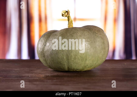 Eine ganze Frische blau grau Kürbis Nagy dobosi Sorte mit seidenen Vorhängen hinter Stockfoto