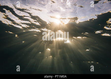 Malediven, Ozean, unter Wasser, Sonnenlicht Stockfoto