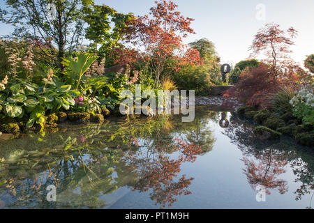 Japanischer Zen-Garten großer Teich Wasserspiel mit moosbedeckten Steinen mit, Gunnera manicata - Rodgersia aesculifolia - Acer palmatum Bäume - UK Stockfoto