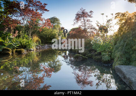 Japanischer Zen-Garten großer Teich Wasserspiel mit moosbedeckten Steinen mit, Gunnera manicata - Rodgersia aesculifolia - Acer palmatum trees UK Stockfoto