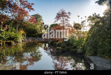 Japanischer Garten großer Teich Wasserspiel mit Moos bedeckten Steinen mit, Gunnera manicata - Rodgersia aesculifolia - Acer palmatum Bäume - England UK Stockfoto