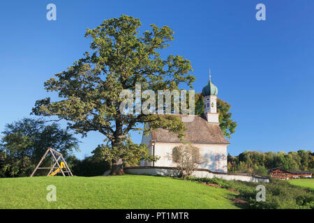 Ramsachkircherl am Murnauer Moos, Staffelsee, Murnau am Staffelsee, Oberbayern, Bayern, Deutschland Stockfoto