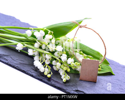 Maiglöckchen mit Karte auf Schiefer Stockfoto