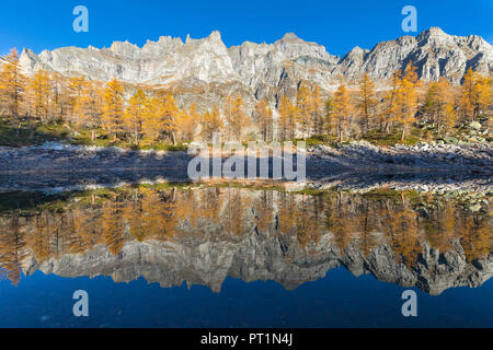 Die Nero See im Herbst unmittelbar nach dem Sonnenaufgang (Buscagna Tal, Alpe Devero, Alpe Veglia und Alpe Devero Naturpark, Baceno, Provinz Verbano Cusio Ossola, Piemont, Italien, Europa) Stockfoto