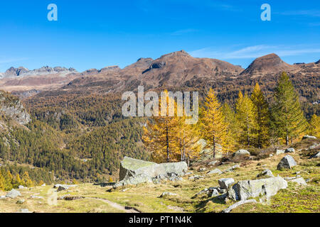 Blick auf die Alpe Veglia und Alpe Devero Naturpark im Herbst Jahreszeit vom Buscagna Tal (Alpe Devero, Baceno, Provinz Verbano Cusio Ossola, Piemont, Italien, Europa) Stockfoto