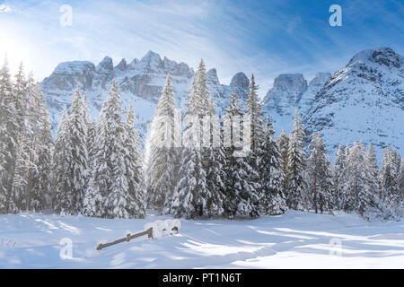 Schluderbach/Schluderbach, Toblach, Dolomiten, Provinz Bozen, Südtirol, Italien, Europa, das Massiv des Cristallo Stockfoto